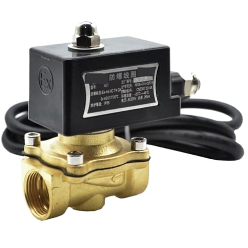 Explosionsgeschütztes Magnetventil Messing 3/8 1/2 3/4 Zoll Normalerweise geschlossen 2W160-15/10 2W200-20 Gas Minera 2-Wege-Magnetventil(3/4",DC24V) von LRPLLWNT