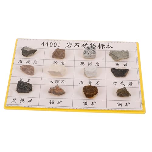 LRXIYODE 12 Stck. Teiliges Mineralien-rock-spezimen Sichtbare Kompakt und Leicht für Geologieunterricht Sammler und Schüler zur Anschaulichen Mineralien Gesteinskunde von LRXIYODE