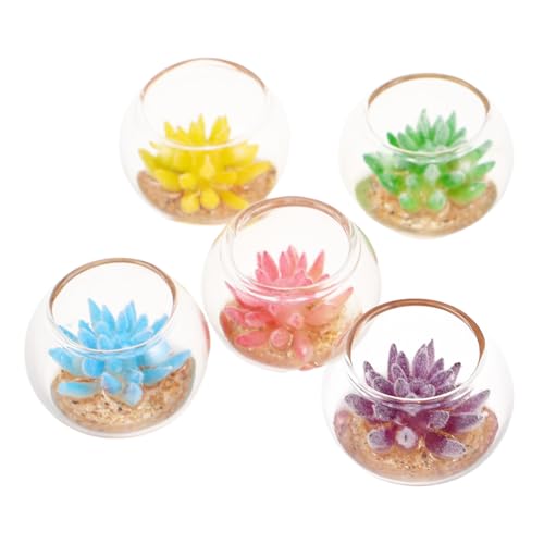 LRXIYODE 5 Stück Teiliges Miniatur-Glas-Pflanzen Bunten Künstlichen Sukkulenten Mini-blumentöpfe für DIY-mikrolandschaften Puppenhaus-dekorationszubehör Vielseitige Mini-gartendekoration LRXIYODE 5 Stück Teiliges Miniatur-Glas-Pflanzen Bunten Künstlichen Sukkulenten Mini-blumentöpfe für DIY-mikrolandschaften Puppenhaus-dekorationszubehör Vielseitige Mini-gartendekoration von LRXIYODE