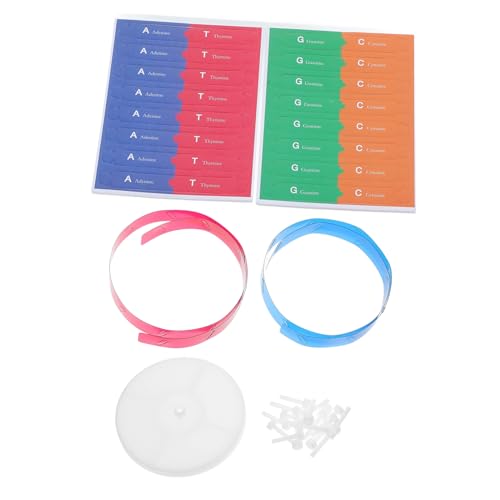 LRXIYODE Doppelhelix Form Modell Bausatz Dna Gen Wissenschaftliches Experimentiergerät für Schulunterricht Labor und Wissenschaftliche Präsentationen LRXIYODE Doppelhelix Form Modell Bausatz Dna Gen Wissenschaftliches Experimentiergerät für Schulunterricht Labor und Wissenschaftliche Präsentationen von LRXIYODE