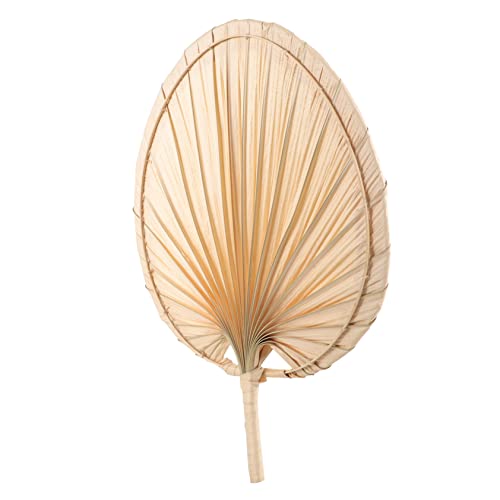 LRXIYODE Handgewebter Vintage Fächer für Sommer Chinesischer Palmfächer Handgemacht für Erwachsene Leicht und Praktisch für Partys und Strandausflüge LRXIYODE Handgewebter Vintage Fächer für Sommer Chinesischer Palmfächer Handgemacht für Erwachsene Leicht und Praktisch für Partys und Strandausflüge von LRXIYODE