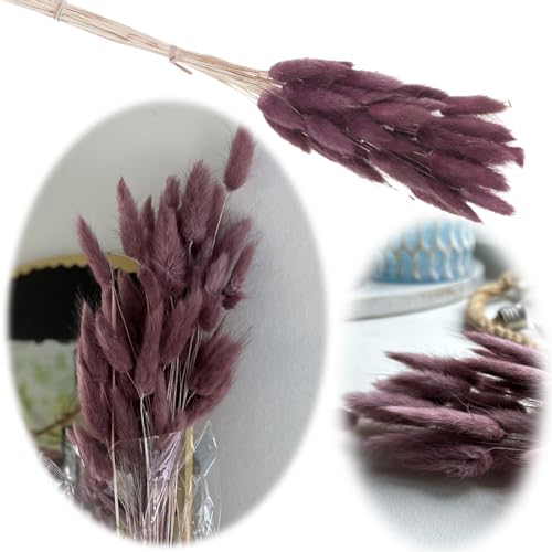 LS-LebenStil Trockenstrauß Lagurus 65cm Rose 40 Wedel Flauschige Trockenblumen Hochzeit Getrocknete Gräser LS-LebenStil Trockenstrauß Lagurus 65cm Rose 40 Wedel Flauschige Trockenblumen Hochzeit Getrocknete Gräser von LS-LebenStil