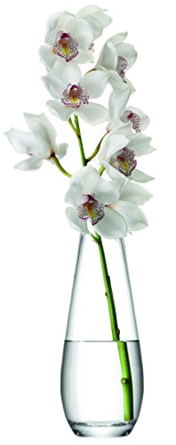 LSA International Flower Vase für lange Stiele H29cm - klar von LSA International