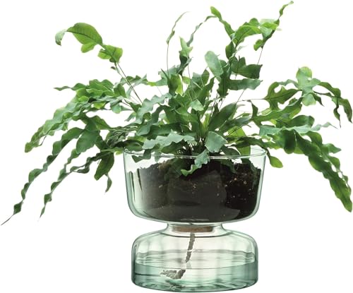 LSA Canopy Recycled Vase/Bulb Planter, Glas, Clear, H13cm LSA Canopy Recycled Vase/Bulb Planter, Glas, Clear, H13cm von LSA