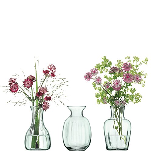 LSA Mia Mini Vasentrio, Glass, Clear, Trio Set, 3 von LSA