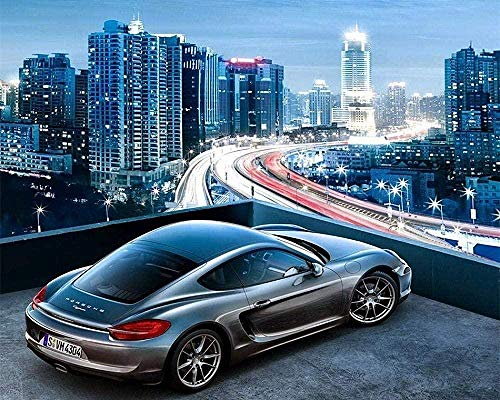 LSDEERE Malen nach Zahlen für Kinder & Erwachsene Porsche DIY Ölgemälde mit Pinsel Acrylmalerei Home Dekorieren Geschenk 16 * 20 Zoll/40x50 cm Rahmenlos von LSDEERE