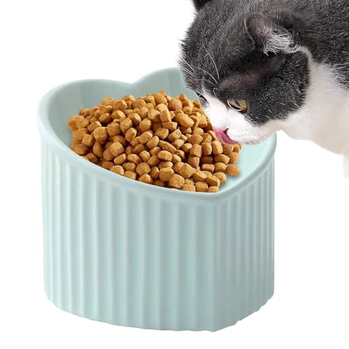 Hundenapf Erhöhte Katzennäpfe aus Keramik – geneigter Futter- und Wassernapf for Haustiere, herzförmiger, schräger Katzennapf, Futter- oder Wassernäpfe for Katzen und kleine Haustiere(Light Green) von LSDLOUYAQNG