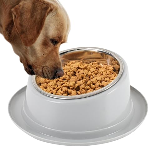 Hundenapf Erhöhter Katzennapf, um 15 Grad geneigte Futternäpfe – runde Futternäpfe for Katzen, Hunde, Futternapf aus Edelstahl for Tierfutter und Wasser Hundenapf Erhöhter Katzennapf, um 15 Grad geneigte Futternäpfe – runde Futternäpfe for Katzen, Hunde, Futternapf aus Edelstahl for Tierfutter und Wasser von LSDLOUYAQNG