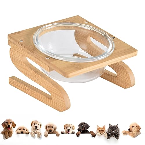 Hundenapf Wassernapf for Katzen – Futter- und Wassernäpfe for Haustiere, erhöhter Futternapf for Katzen, geneigte erhöhte Näpfe for kleine und mittelgroße Haustiere, Katzen und Hunde(15cm) von LSDLOUYAQNG