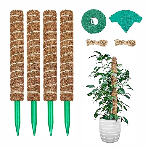LSRVNM 4 Stück 42CM Moosstab für Monstera Kokosstab für Pflanzen Monstera Rankhilfe, Moss Pole mit 4m Jute Schnur 10 Pflanzschilder und 2M Klettverschluss LSRVNM 4 Stück 42CM Moosstab für Monstera Kokosstab für Pflanzen Monstera Rankhilfe, Moss Pole mit 4m Jute Schnur 10 Pflanzschilder und 2M Klettverschluss von LSRVNM