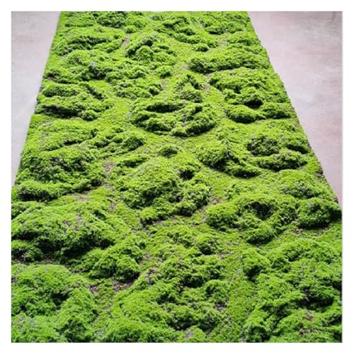 LSSHQ Künstliche Moosmatten Moosrasen Wandpaneel Simulation Künstlicher Moosmatte Gefälschte Wandbehang Dekoration Moosrasen Wandpaneel Moosmatte Green(F) von LSSHQ