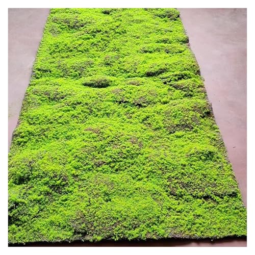 LSSHQ Moosmatten Zur Dekoration Simulationspflanze Moosfelsen Wandbehang Dekoration rutschfeste Moosdecke Gefälschte Moosunterlage rutschfeste Moosdecke(F) von LSSHQ