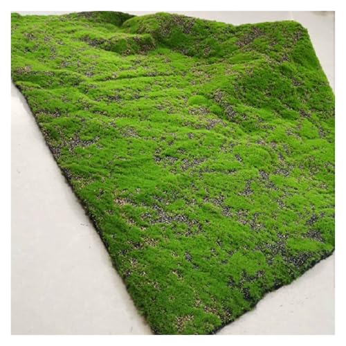 LSSHQ Simulation Künstlicher Moosmatte Gefälschte Moosrasen Wandpaneel, Gefälschte Moosmatte Green Kunst Moos Kunstmoos Zum Dekorieren Moos Wand(C) von LSSHQ