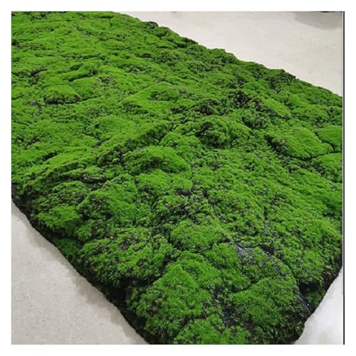 LSSHQ Simulation Künstlicher Moosmatte Gefälschte Moosrasen Wandpaneel, Gefälschte Moosmatte Green Kunst Moos Kunstmoos Zum Dekorieren Moos Wand(E) von LSSHQ