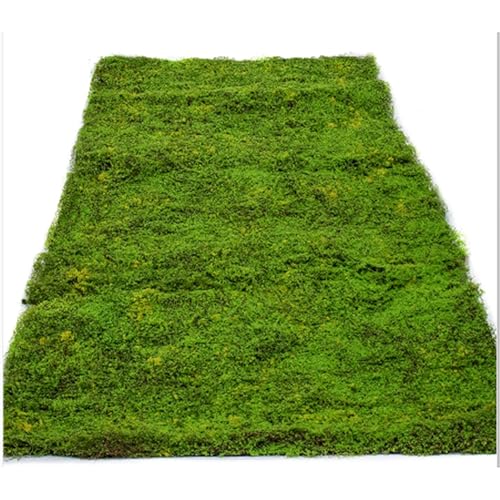LSSHQ Simulation Künstlicher Moosmatte Gefälschte für Pflanzgefäße Garten Terrasse Dekoration rutschfeste Moosdecke Grünes Moos Zum Dekorieren Zuschneidbar(B) von LSSHQ