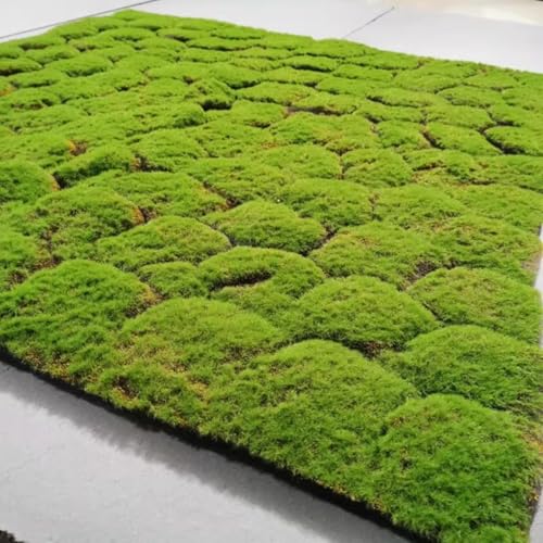 LSSHQ Simulation Künstlicher Moosmatte rutschfeste Moosdecke Moosrasen Wandpaneel Gartenarbeit, Wand, Floristen, Hochzeitsdekoration,Dekogras Moosmatte(C) von LSSHQ