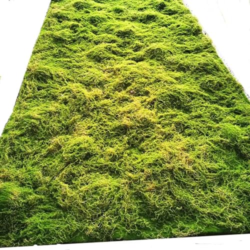 LSSHQ Simulierte Moosschaumplatte Künstliche Pflanzen Deko Moosunterlage Künstliches Simulationspflanze Moosfelsen Gartenarbeit, Wand, Floristen, Dekogras(F) von LSSHQ
