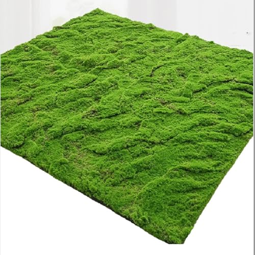 LSSHQ Weiches Kunstmoos rutschfeste Moosdecke Grünes Moos Zum Dekorieren Moosplatte Grün Naturmoos Auf Textilfaser Deko Simulierte Moosschaumplatte(B) von LSSHQ