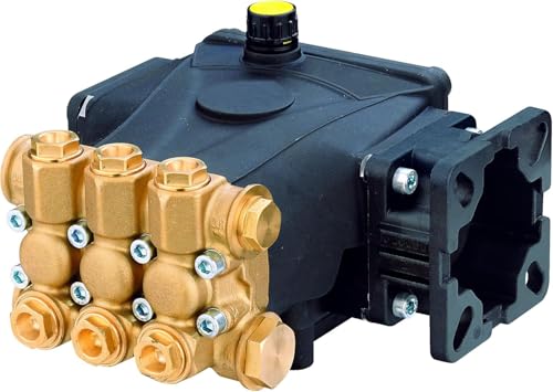 LSSOCH Hochdruckreiniger-Pumpe RCV3G27 RCV3G27D-F7 Messingkopf Stahl Verbindungsstangen 3400 U/min 3,0 GPM 3/4 Zoll Schaft 186 bar LSSOCH Hochdruckreiniger-Pumpe RCV3G27 RCV3G27D-F7 Messingkopf Stahl Verbindungsstangen 3400 U/min 3,0 GPM 3/4 Zoll Schaft 186 bar von LSSOCH