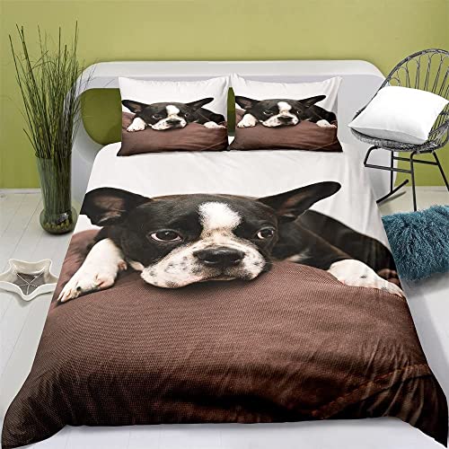 LSYW Bettwäsche 135x200 Schwarzer Boston-Terrier Bettbezug mit Reißverschluss Schließung für Kinder Jungs Mädchen Weicher Atmungsaktive Flauschige Mikrofaser Bettwäsche-Set + 2 Kissenbezug 80x80 cm von LSYW