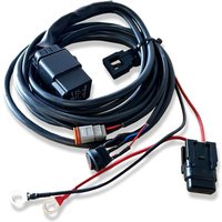 Kabelsatz RHR10 1 Anschluss 12V von LTPRTZ
