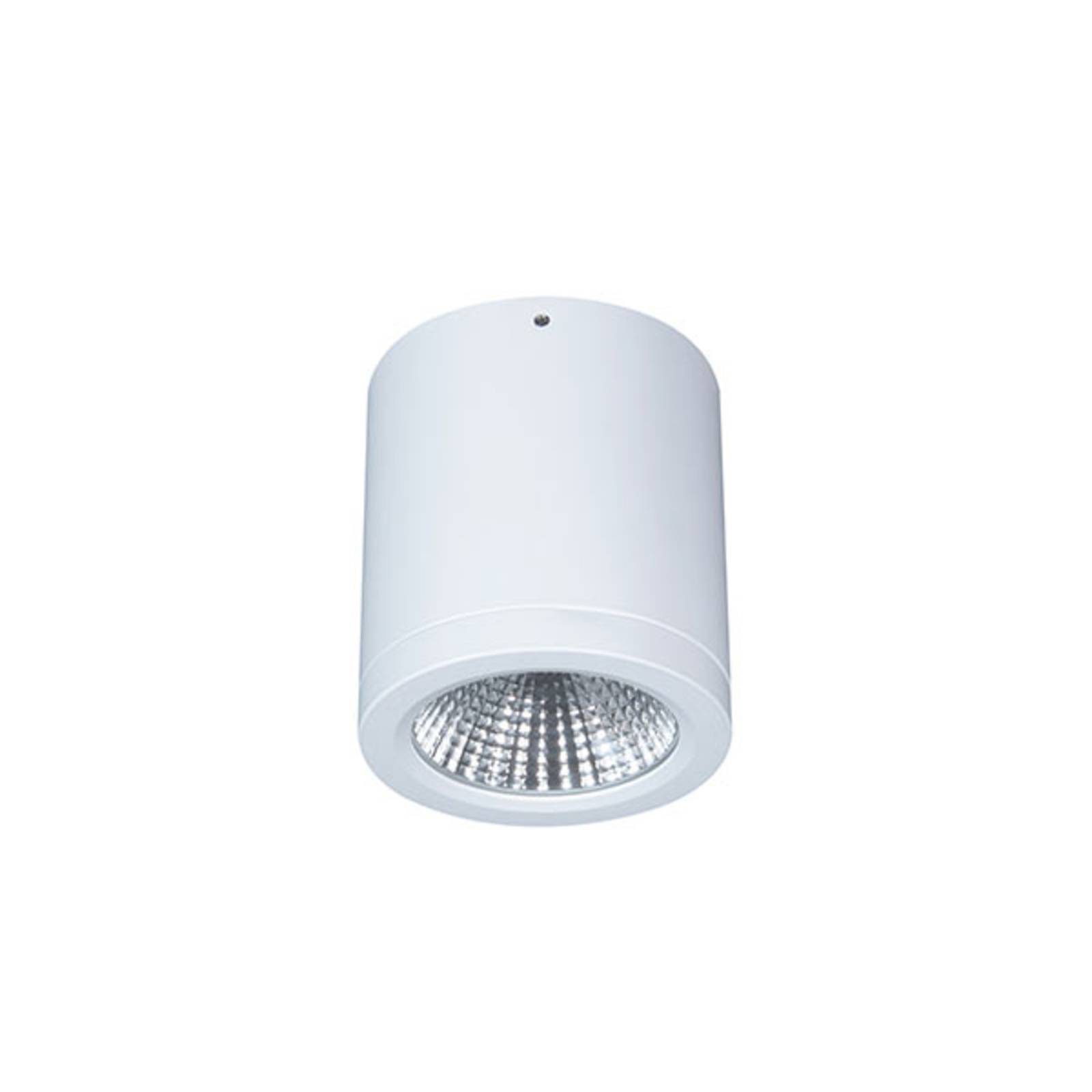 LED-Anbau-Downlight Button Mini 100 IP54 55° 16 W von LTS