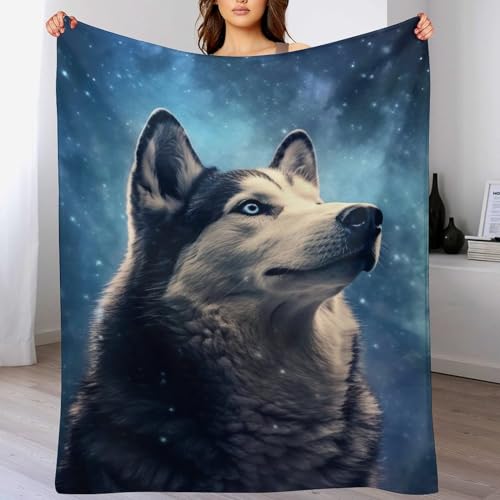 Husky-Hund Decke, Wohndecke,Weich Warm Flannel Vier Jahreszeiten Fleecedecke Sofadecke Bettdecke Wohnzimmer Couch Wohndecke 130×180cm Husky-Hund Decke, Wohndecke,Weich Warm Flannel Vier Jahreszeiten Fleecedecke Sofadecke Bettdecke Wohnzimmer Couch Wohndecke 130×180cm von LTTTT