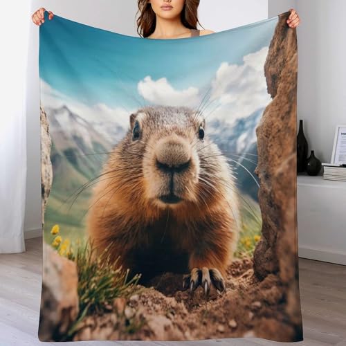 Murmeltier Decke Kuscheldecke Mit 3D Muster Fleece Warm & Weich Flauschige Flannel Decken, Vier Jahreszeiten Bett Sofadecke 150×200cm von LTTTT
