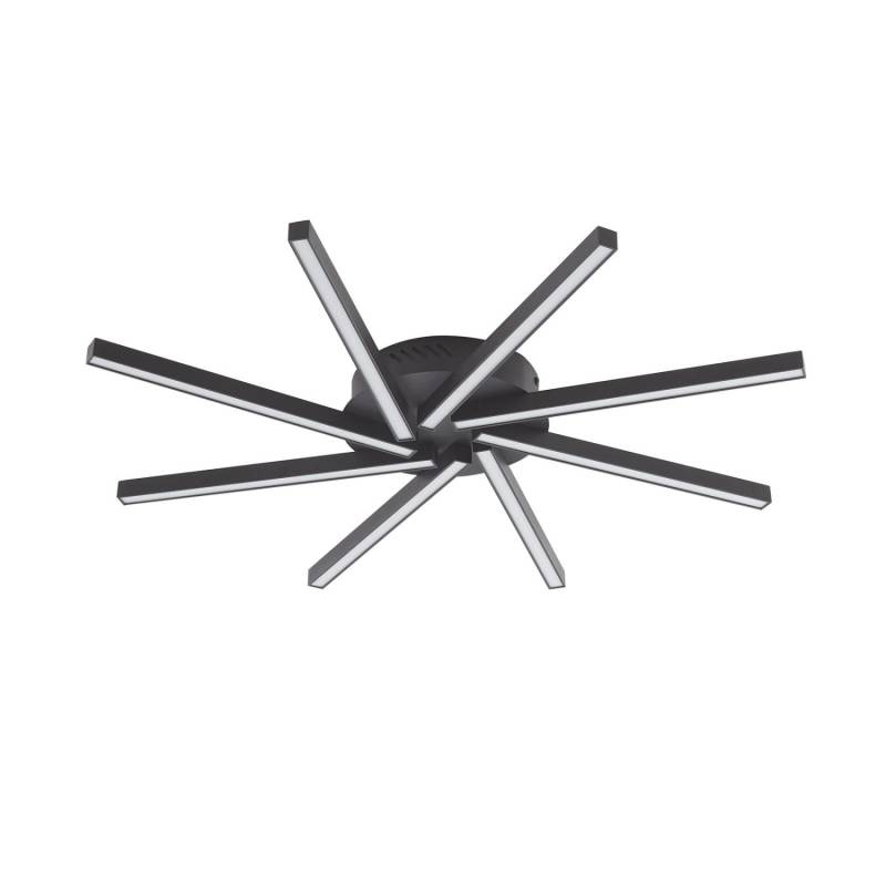 Lucande LED Deckenleuchte Tjado 10013019 Dimmbar Modern in Schwarz aus Metall 8-flammig Wohnzimmerleuchte Lucande LED Deckenleuchte Tjado 10013019 Dimmbar Modern in Schwarz aus Metall 8-flammig Wohnzimmerleuchte von LUCANDE