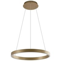 [NEUWERTIG] B-Ware Lucande Led Hängeleuchte Pendelleuchte Yonam Smart Lampe Gold 1 Flammig Tuya von LUCANDE