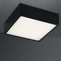 Eco-light - led Deckenleuchte Klio in Schwarz 22W 2000lm IP20 - black von ECO-LIGHT