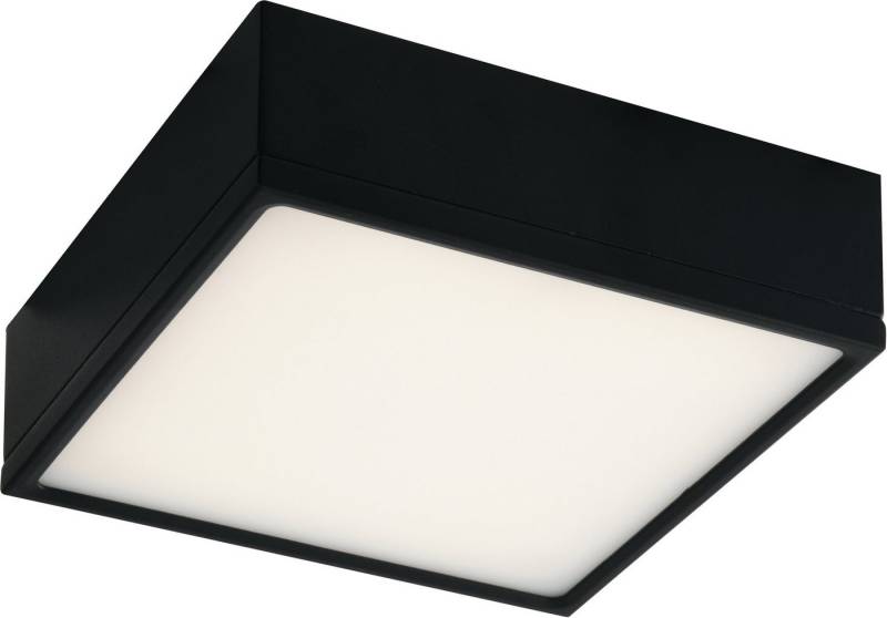 ECO-LIGHT Deckenleuchte KLIO, LED fest integriert, Neutralweiß von ECO-LIGHT
