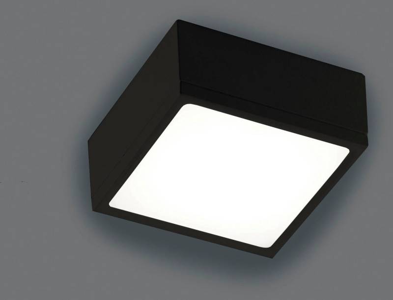 ECO-LIGHT Deckenleuchte Klio, LED fest integriert von ECO-LIGHT
