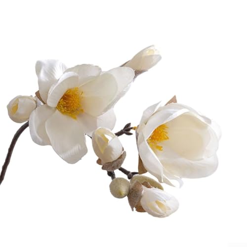 Aesthetic Silk Magnolia Blossom for Wedding Venues and Home Decor (White) von LUCKCDUO