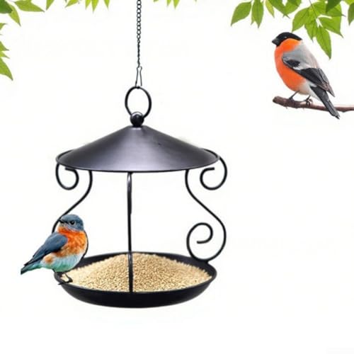 Vogelfutterspender Outdoor Schmiedeeisen Kolibri Futterspender Garten Vogelfutterbehälter mit großem Futterschlitz für Balkon oder Fenster Vogelfutterspender Outdoor Schmiedeeisen Kolibri Futterspender Garten Vogelfutterbehälter mit großem Futterschlitz für Balkon oder Fenster von LUCKCDUO