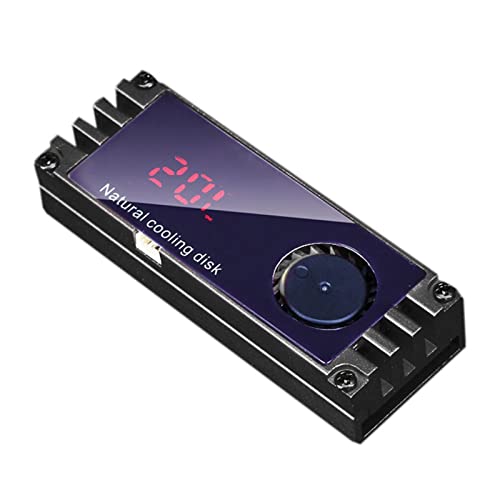 LUCKGONI SSD Kühlkörper mit digitaler Temperatur OLED-Display M.2 2280 22110 NVME Solid State Hard Disk Heatradiator von LUCKGONI