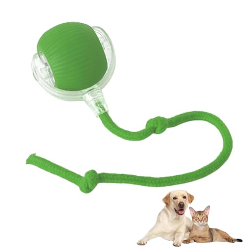 Ulvra Cat Ball, Nestoly Cat Ball, Interaktives Katzenspielzeug Rollender Balls, 360 Grad Automatisch Rollender Haustierball, Wiederaufladbarer Katzenspielzeug mit 3 Modi & LED Licht (Grün) von LUCKKY