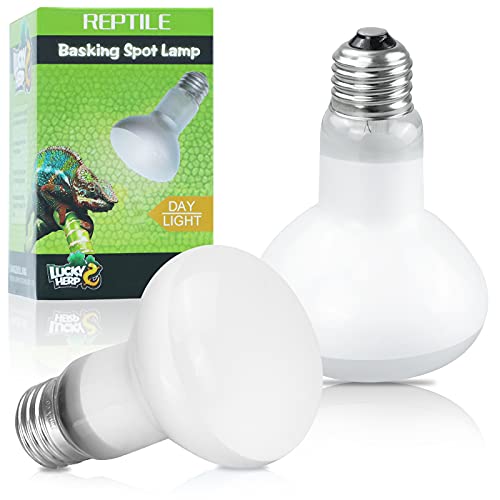 LUCKY HERP Reptilien Wärmelampe 100W-2er-Pack, Wärmelampe Terrarium Schildkröten Basking Spot, E27 Heizlampe für Reptilien，Schildkröten, Hühner, Bartagamen, Hunde von LUCKY HERP