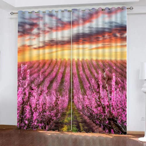 LUDSOL Rosa Feld Verdunkelung Kälteschutz Thermo Blickdichte Vorhang, Abendhimmel 3D Gedruckt Vorhänge für Wohnzimmer Schlafzimmer Fenster 260x140cm(HöhexBreite) 2er Set von LUDSOL