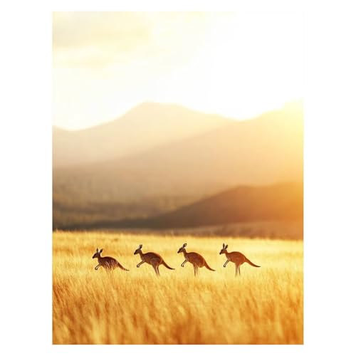 Känguru Malen Nach Zahlen Erwachsene, Malen Nach Zahlen auf Leinwand mit Pinsel und Acrylfarben 55x40 Cm DIY Basteln Erwachsene Leinwand Bilder Tier für Wanddeko Wohnzimmer und Geschenke LSJ-6986 Känguru Malen Nach Zahlen Erwachsene, Malen Nach Zahlen auf Leinwand mit Pinsel und Acrylfarben 55x40 Cm DIY Basteln Erwachsene Leinwand Bilder Tier für Wanddeko Wohnzimmer und Geschenke LSJ-6986 von LUESSJAO