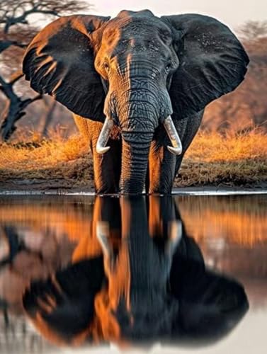 Diamond Painting Elefant Diamond Painting Erwachsene Groß XXL Tier Crystal Art Bastelset Erwachsene Anfänger DIY Mosaikherstellung Bastelset für Zimmer Deko, Geschenke für Frauen 25x35cm -2502yEA Diamond Painting Elefant Diamond Painting Erwachsene Groß XXL Tier Crystal Art Bastelset Erwachsene Anfänger DIY Mosaikherstellung Bastelset für Zimmer Deko, Geschenke für Frauen 25x35cm -2502yEA von LUESUAYN