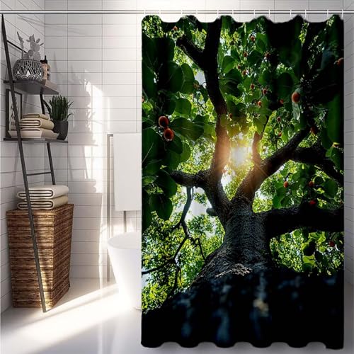 Duschrollo 120x200 cm, Grün Duschvorhang Baum Duschrollo für Badewanne Wasserdicht Shower Curtains, Shower Curtain Polyester Textil mit ösen und 12 Duschringen für Badezimmer Deko -lsy25078S5PA von LUESUAYN