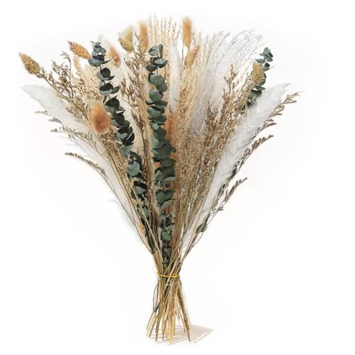 LUHOCIY Pampasgras Deko, Trockenblumen Deko, Ampasgras Klein, Sommer-Herbst-Deko Wohnzimmer Zimmer Deko, Boho Pampas Grass Decor Set, 7 Verschiedene Trockenblumen-Kombinationen LUHOCIY Pampasgras Deko, Trockenblumen Deko, Ampasgras Klein, Sommer-Herbst-Deko Wohnzimmer Zimmer Deko, Boho Pampas Grass Decor Set, 7 Verschiedene Trockenblumen-Kombinationen von LUHOCIY