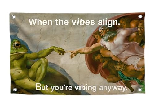 Lustige Kunst-Meme-Flagge mit Zitat "When The Vibes Align. But You're Vibing Anyway", Polyester-Banner an der Wand mit vier Messingösen, einseitiger Humor-Wandteppich für Heimdekoration, 90 x 150 cm von LUIVU