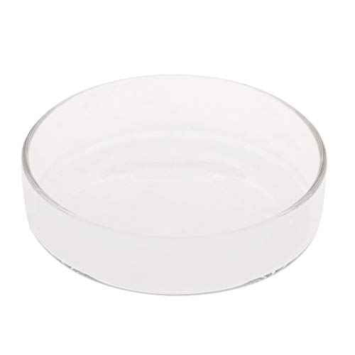 Glas-Futterschale 9,9 cm 3,5 3,2 3,0 2,6 2,6 2,4 cm breit transparent rund Futternapf für Cory Pleco Boden Fütterung Fisch Aquarium Heizung Licht Thermometer Kies Sand Dekorationen von LUJIAXI