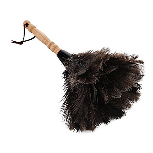 LUJIAXI Duster Staubbürste mit Holzgriff, lange Verwendung, für Autostaub, Innenräume LUJIAXI Duster Staubbürste mit Holzgriff, lange Verwendung, für Autostaub, Innenräume von LUJIAXI