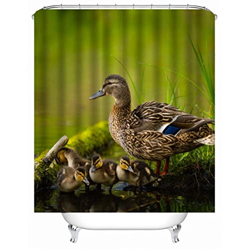 LUKAVA 3D Duschvorhang Anti-Schimmel Wasserdicht Duschvorhänge 180x180 cm Ente Duschvorhang 100% Polyester Tierische Ente Badvorhang mit 12 Hooks von LUKAVA