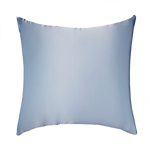 Lulusilk Kopfkissenbezug, 100 % reine Seide, 19 Momme, mit verdecktem Reißverschluss, 1 Stück 80 x 80 cm hellblau Lulusilk Kopfkissenbezug, 100 % reine Seide, 19 Momme, mit verdecktem Reißverschluss, 1 Stück 80 x 80 cm hellblau von LULUSILK