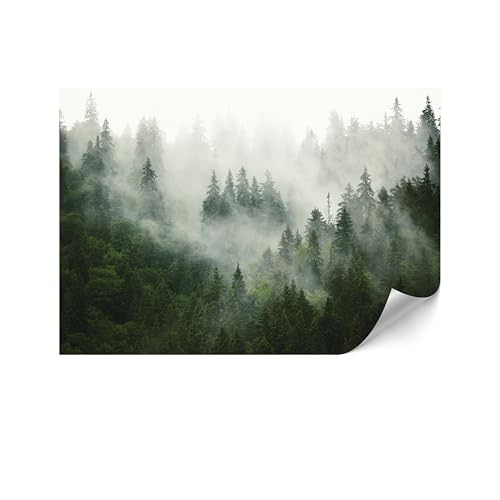 LUMASOUL Fototapete 150x105 cm - VliestapeteNatur- Moderne Tapeten für Wohnzimmer & Schlafzimmer - Hochwertige Bildtapete Einfach zu Montieren - Minze und Weiß von LUMASOUL
