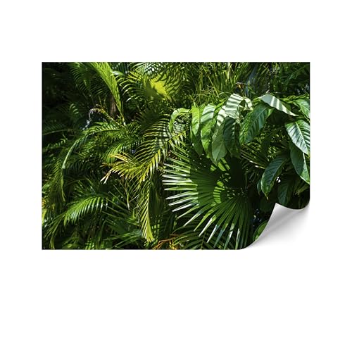 LUMASOUL Fototapete 400x280 cm - VliestapeteNatur- Moderne Tapeten für Wohnzimmer & Schlafzimmer - Hochwertige Bildtapete Einfach zu Montieren - Grün von LUMASOUL